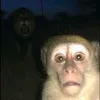 mkka_05