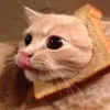 pizzabrotchen