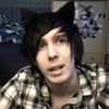 catnbearsavedaworld