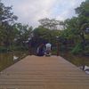 Borahae_Paris