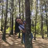 jenasiugac