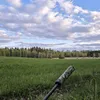enn1k3