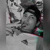 el_dinizx
