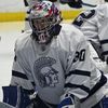 hockey_bioz30