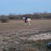 elimedrano09