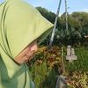 Hana | Review Perabot Rumah