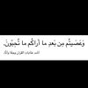 tmtmtf