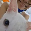 sammyssi_