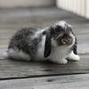 mimibunbun