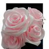 satinroses_namora