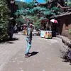 toannguyen7801