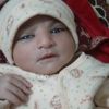 nabeel__43