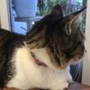 momoww333