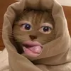 hi.bangssi