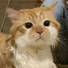unnnaaaaaw