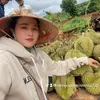 caonguyennhuquynh2222