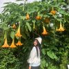 itstsyaaa