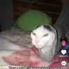 lyxos_83