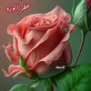user9757524869221
