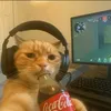 arkistudentberrynice