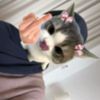 bbymiraaa