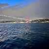 thebookjourney44