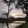 meylaayp