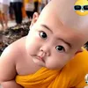 manhvo6868