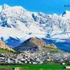 danar_084