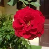 user44603343