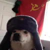 min_russo