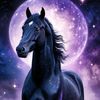 user4108331251367