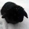 minikiwi111