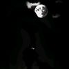 joselopex_01