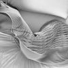 _sc8