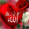 jawedhamza4