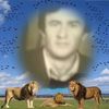 ilhamrzayev930