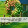 elnare1243293