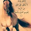 user726186578