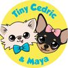 Tiny Chihuahua Cedric & Maya