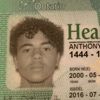 anthonyp_t