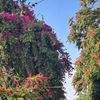 zainomar9677