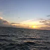 maivang123407