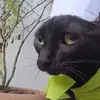 confused_n_high