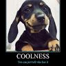 coolnessman0
