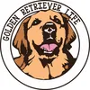 Golden Retriever Life