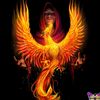 lizzyinkedfly