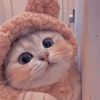 allriieee