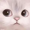 coocjie5