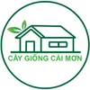 Vườn Ươm Cây Giống Cái Mơn
